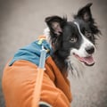 Alpha 360 Fleece Pullover Terracotta Mix