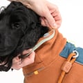 Alpha 360 Fleece Pullover Terracotta Mix