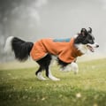 Alpha 360 Fleece Pullover Terracotta Mix