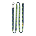 Horizon Dog Leash
