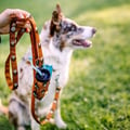 Sea to Summit Dog Poop Bag Holder