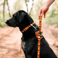 Sea to Summit Dog Poop Bag Holder