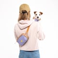Alpha 360 Hip Pack Lavender