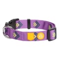 Northern Lights hundhalsband