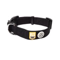 Raven Black Dog Collar