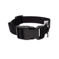 Raven Black Dog Collar