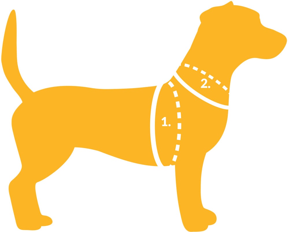 How to measure a dog's neck and chest girth