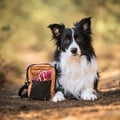 Hydration Shoulder Bag Wood Brown Mix