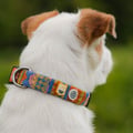 Nightless Night Dog Collar