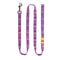 Northern Lights Dog Leash