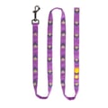 Northern Lights Dog Leash