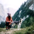Northern Lights Dog Leash