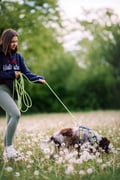 Image 3 of Long Dog Leashes