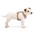 Alpha 360 Dog Harness Lavender