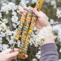 Cloudbeam Dog Leash