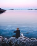 A person and a small dog sit on rocks, overlooking a calm, pastel-colored sea at sunset.