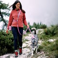 Color Block Multi-Use Dog Leash Mauve Mix