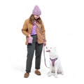 Alpha 360 Dog Snack Bag Mauve Mix
