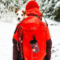 Polar Night Dog Snack Bag