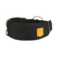 Collare per cane Alpha 360 nero