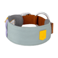 Alpha 360 Dog Collar Glacier Green