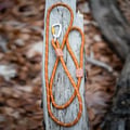 Rope Dog Leash Terracotta