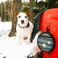 Woodland Dog Collar