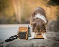 Woolly Wolf shoulder bag