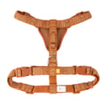 Wild Tundra Harness Terracotta / Clay