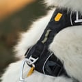 Alpha 360 Dog Harness Black