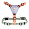 Color Block Dog Harness Salmon Pink Mix