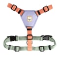Color Block Dog Harness Salmon Pink Mix