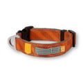 Roam Dog Collar Terracotta