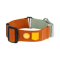 Color Block Martingale Dog Collar Terracotta Mix