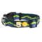Horizon Dog Collar
