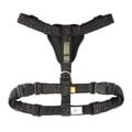 Wild Tundra Harness Black / Graphite