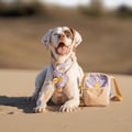 Sunshower Soft Martingale Collar