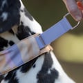 Sunshower Soft Martingale Collar